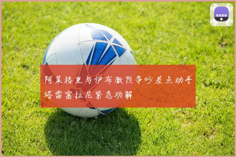 阿莱格里与伊布激烈争吵差点动手塔雷富拉尼紧急劝解