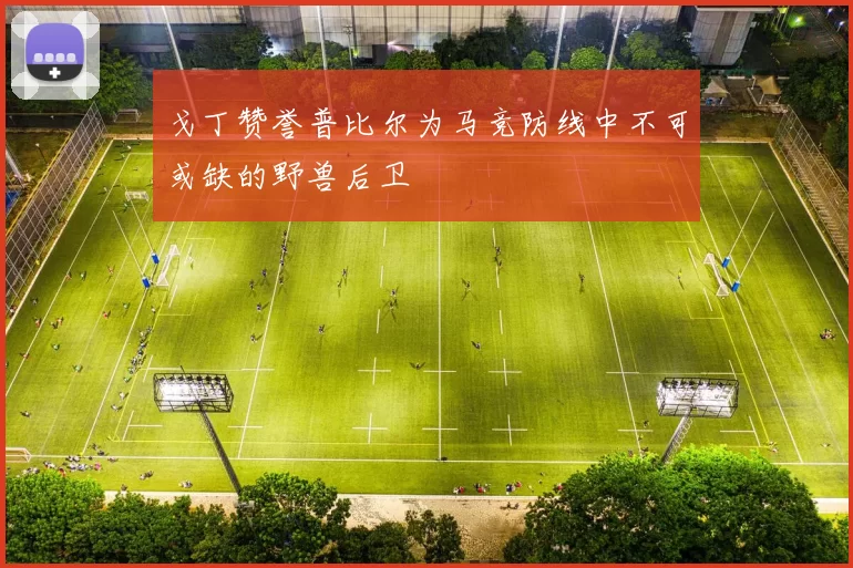 戈丁赞誉普比尔为马竞防线中不可或缺的野兽后卫